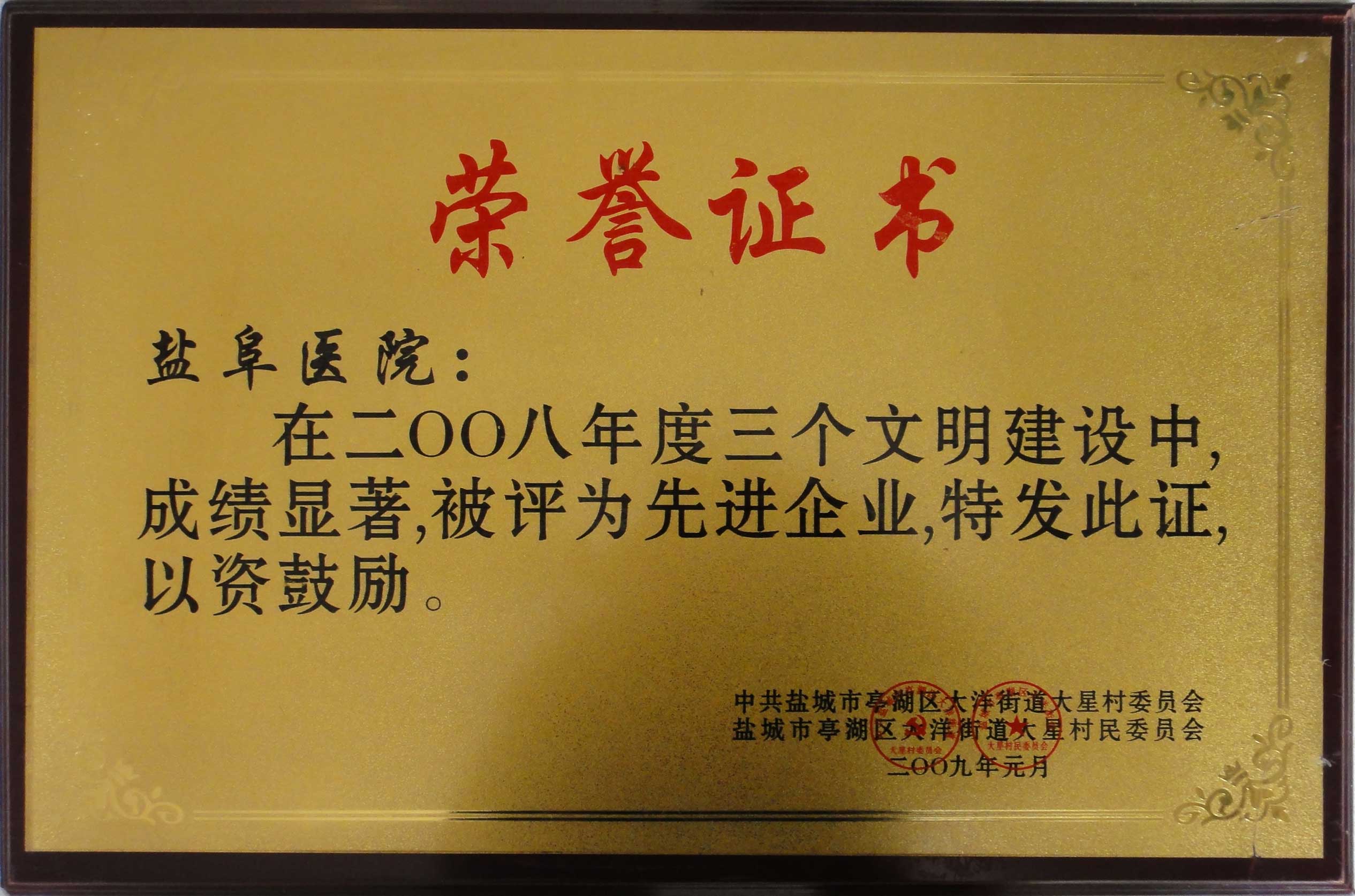 2008年度先进企业